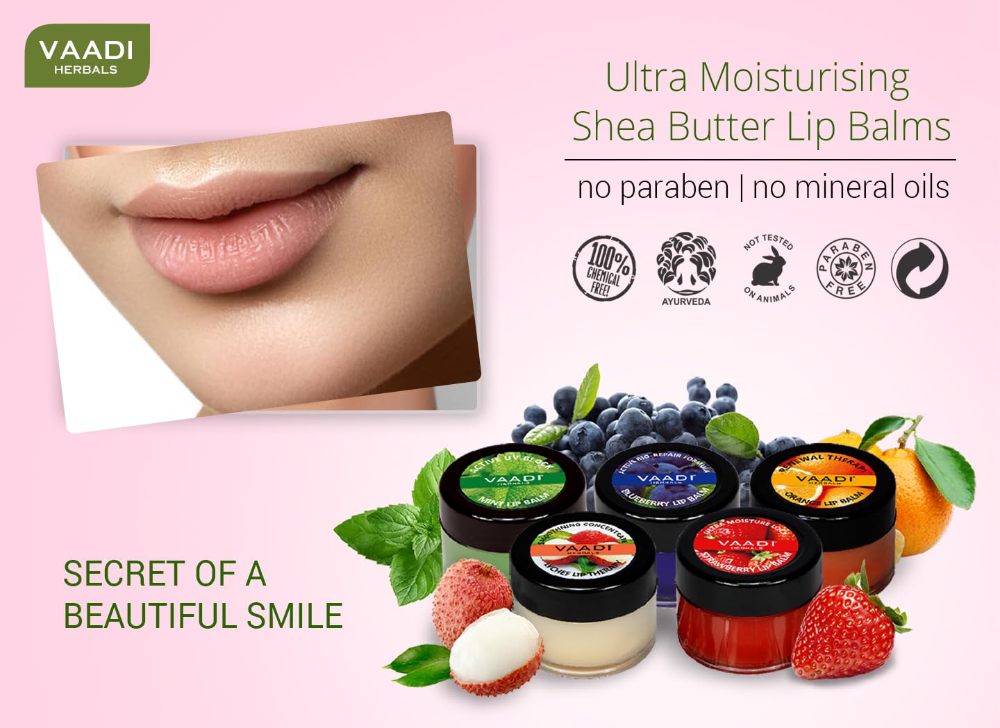 Vaadi Herbals Assorted Lip Balms, 10g (Pack of 5) 100% Natural Lip Balms| For Dry & Chapped Lips | 24hr Hydration |